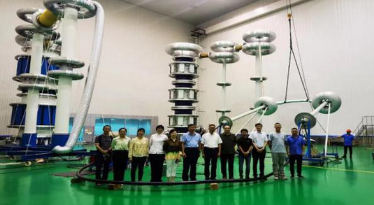突破！國內首條110千伏熱塑性聚丙烯絕緣電力電纜通過見證試驗